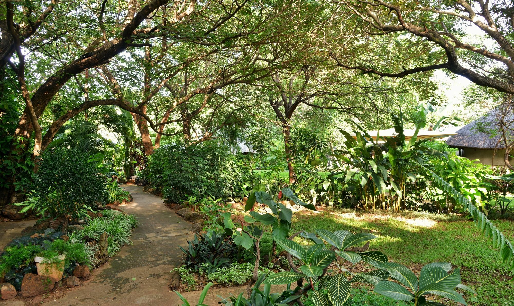 Bayete Guest Lodge Victoria Falls Exterior foto